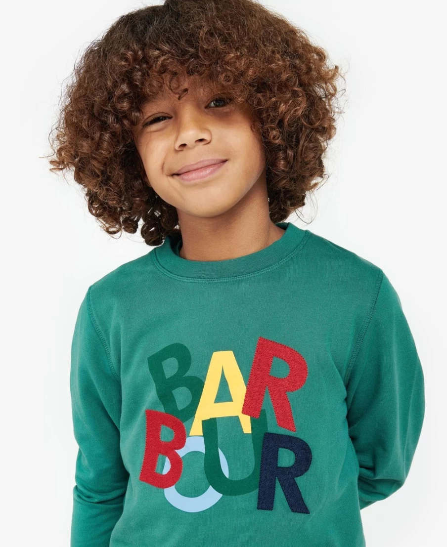Barbour Boys Dixon Sweatshirt in Vine Green - Classic Cotton Pullover for Kids